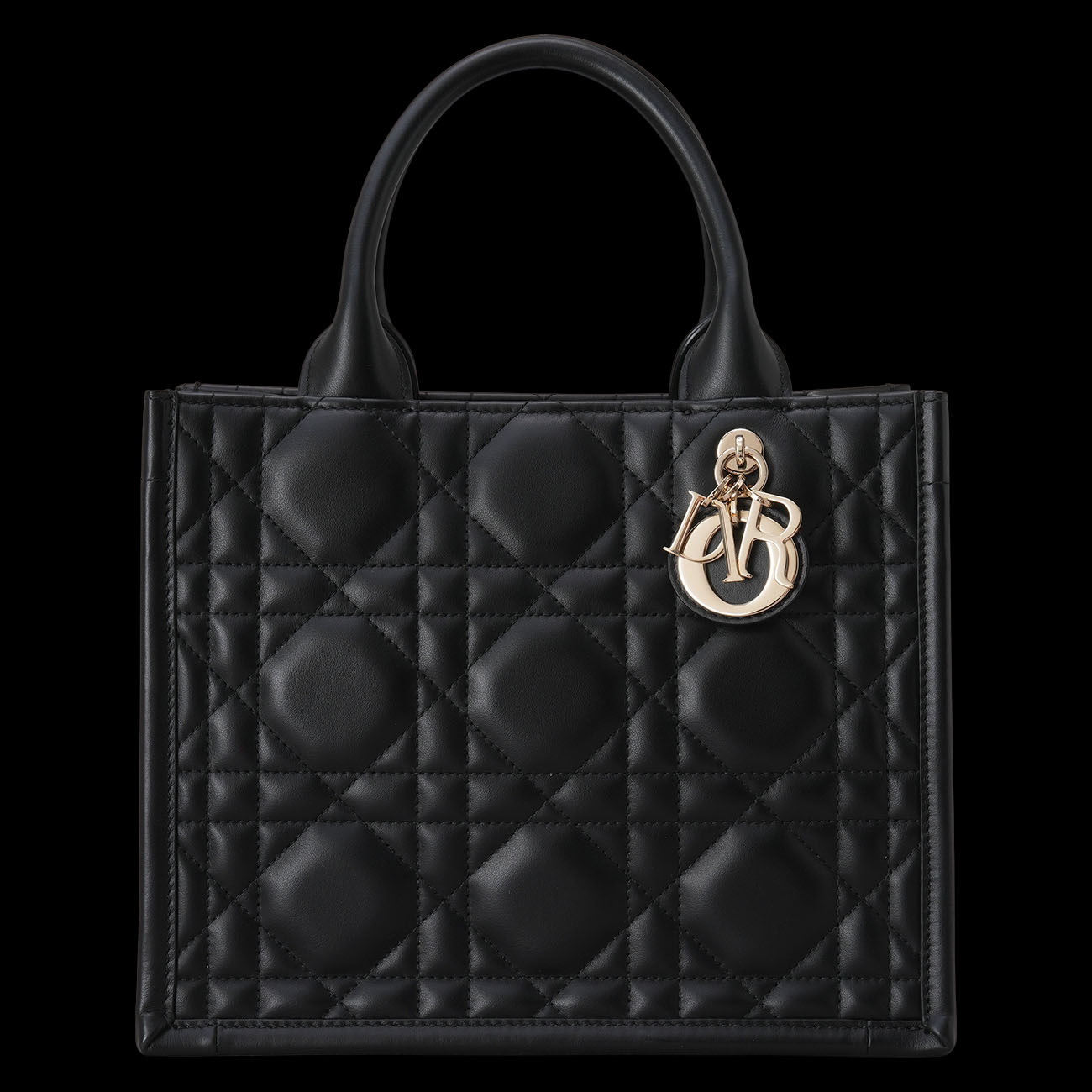 CHRISTIAN DIOR(USED)디올 레더 북토트 스몰